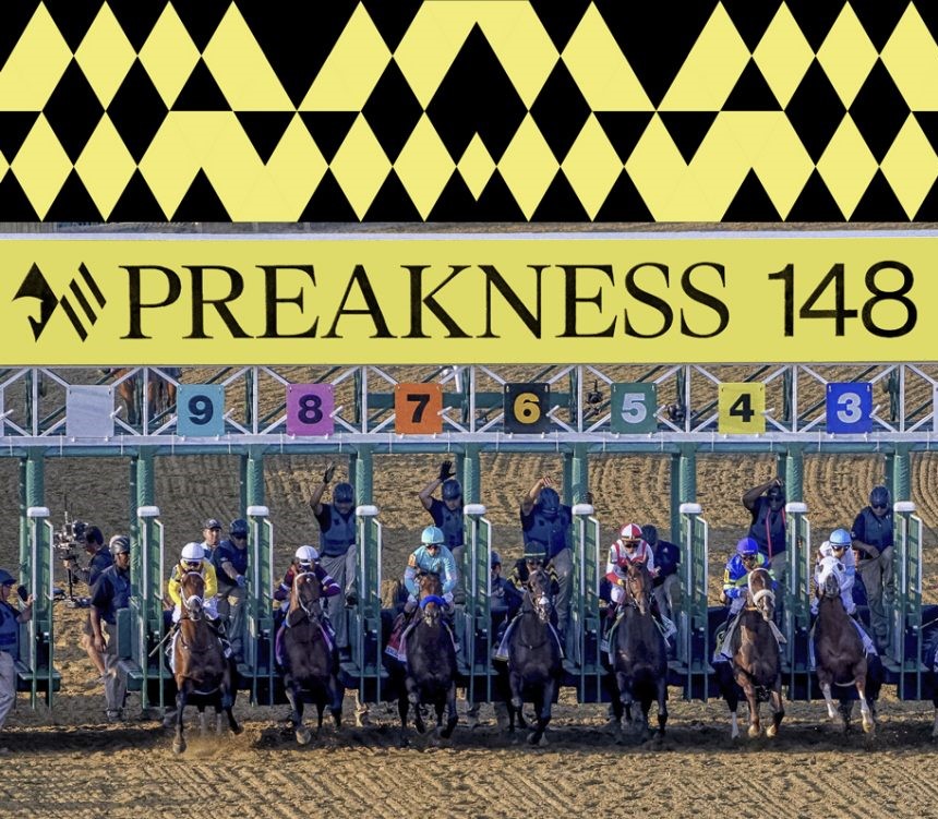 Preakness race horses at the gate.